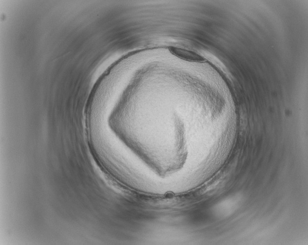 X0000074941047200609291817