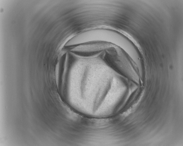 X0000074941289200609291813