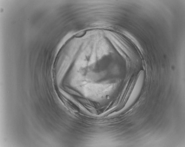 X0000074941291200609291813
