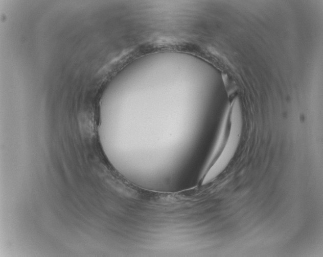 X0000074941348200609291812