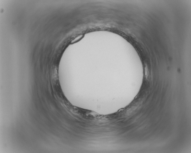 X0000074941492200609291809