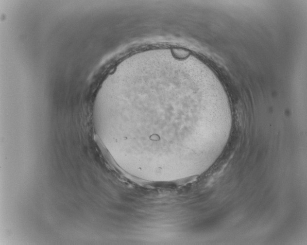 X0000074941494200609291809