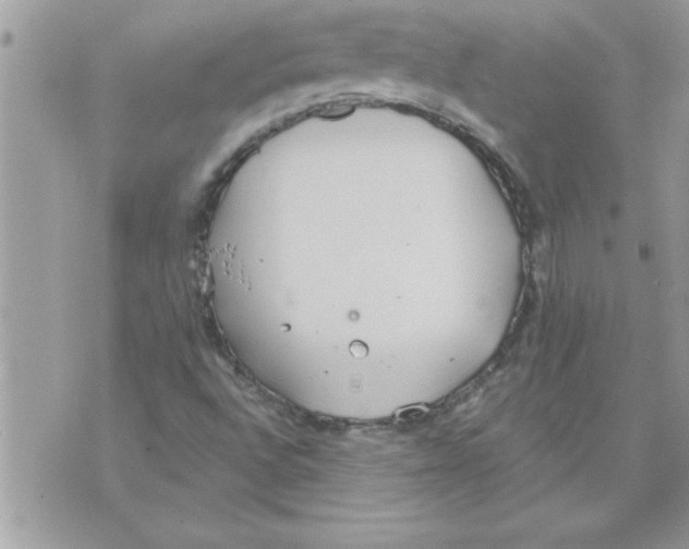 X0000074941496200609291809