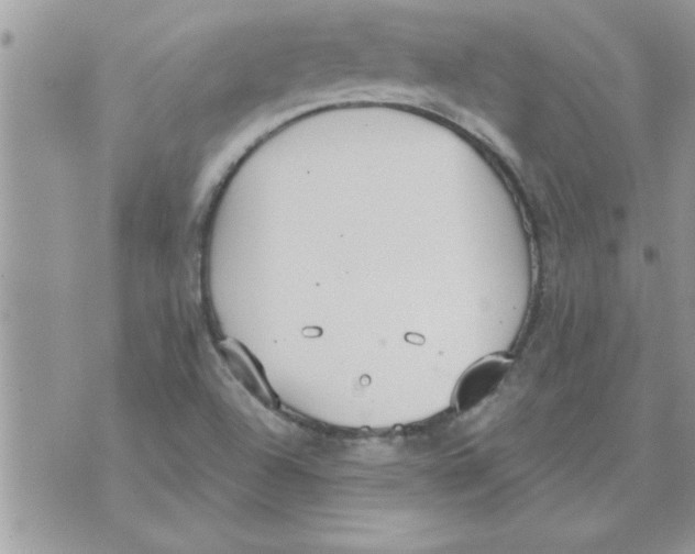 X0000074941504200609291809