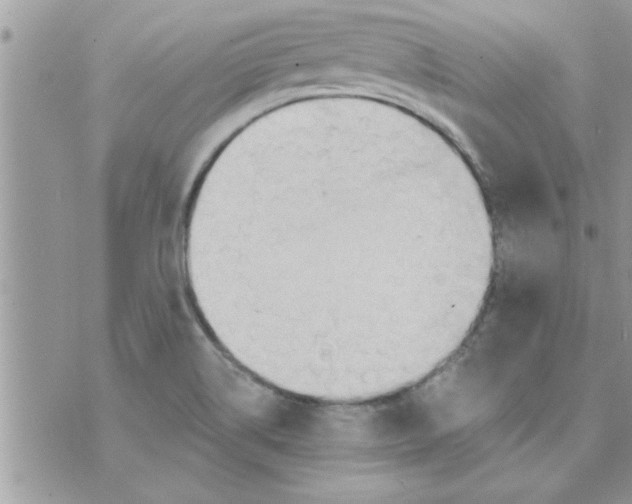 X0000074941514200609291809