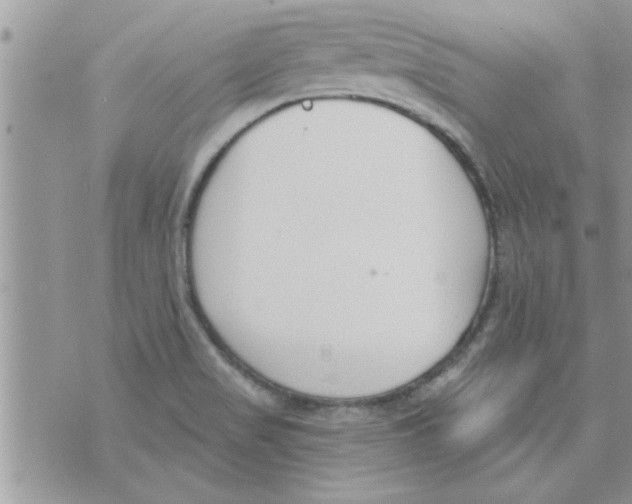 X0000074941517200609291809