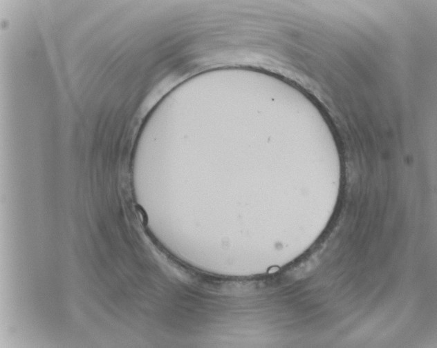 X0000074941521200609291809