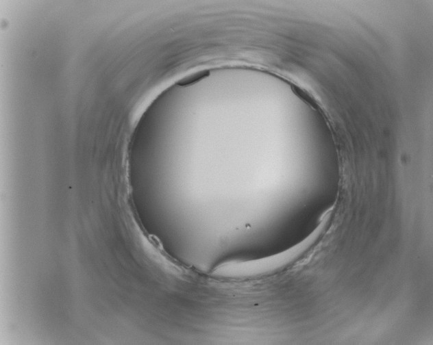 X0000074941524200609291809