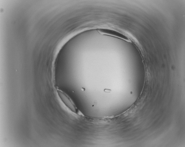 X0000074941528200609291809