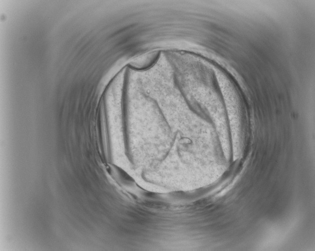 X0000074941529200609291809