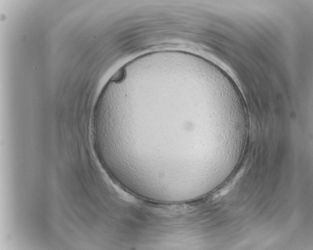 X0000074941533200609291809