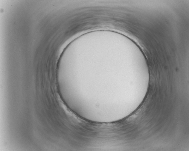 X0000074941534200609291809