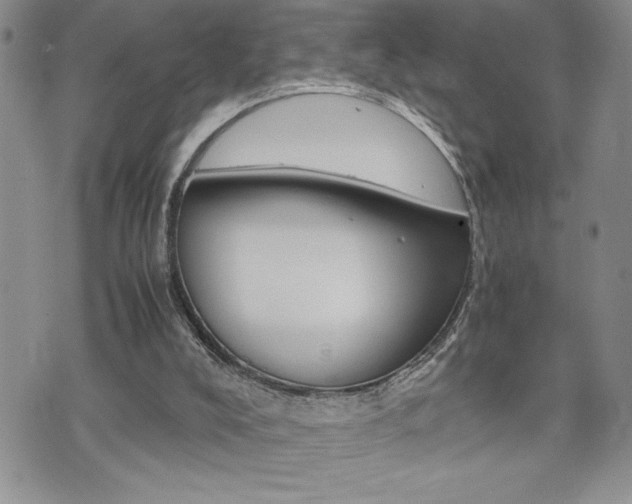 X0000074950008200609010932