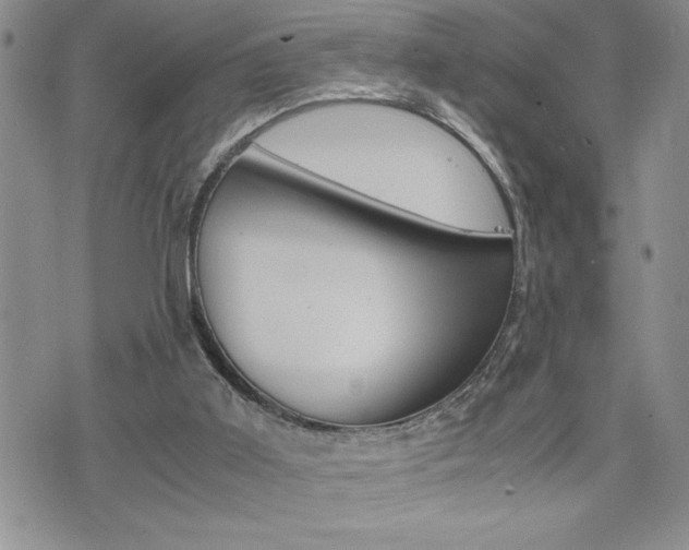 X0000074950011200609010931
