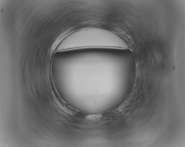 X0000074950051200609010930