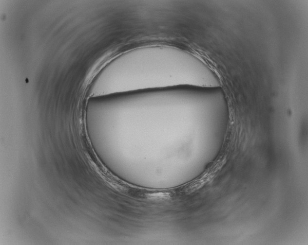 X0000074950053200609010930