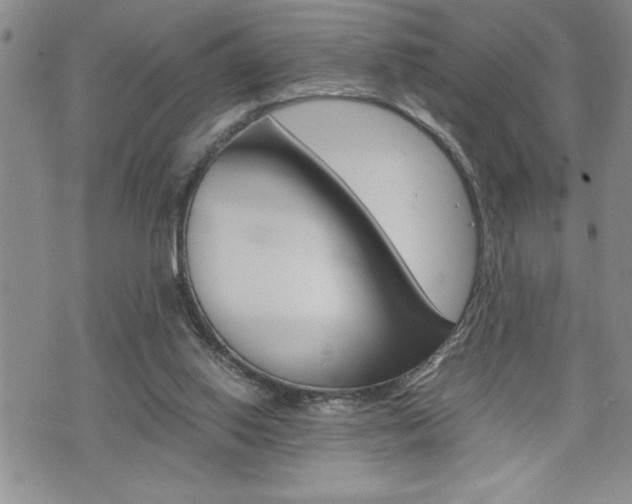 X0000074950062200609010930
