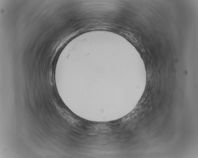 X0000074950146200609010929