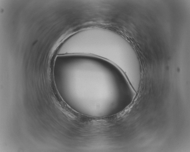 X0000074950150200609010929