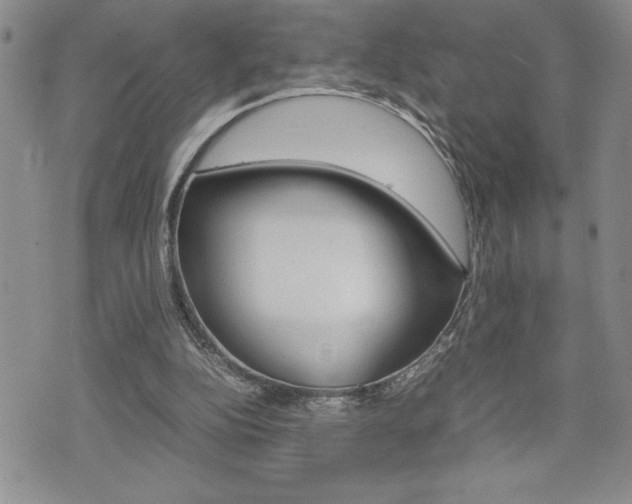X0000074950152200609010929