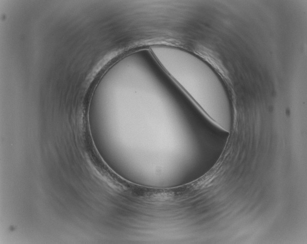 X0000074950156200609010929