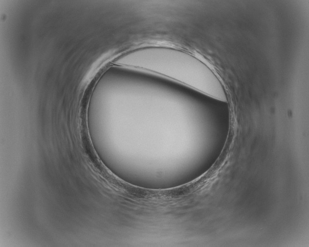X0000074950199200609010928