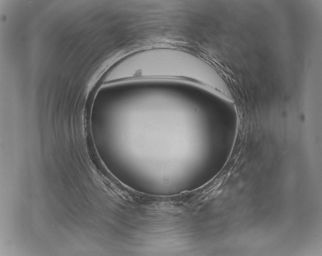 X0000074950244200609010927