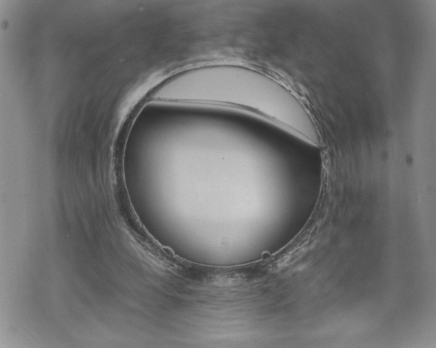 X0000074950248200609010927