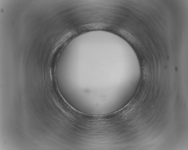 X0000074950254200609010927