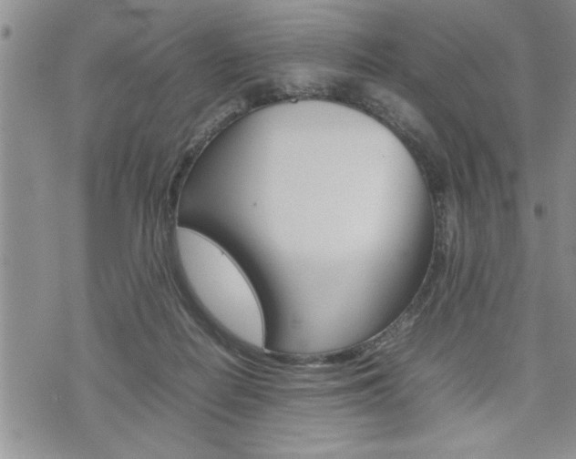 X0000074950266200609010927