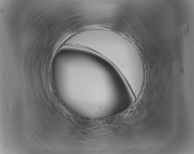 X0000074950289200609010927