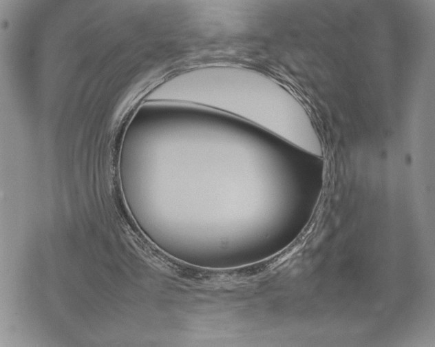 X0000074950293200609010927