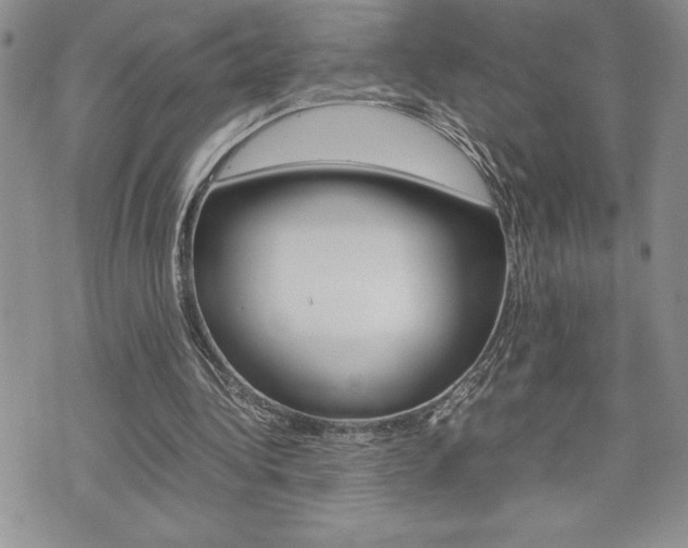 X0000074950340200609010925