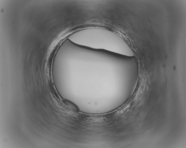 X0000074950343200609010925