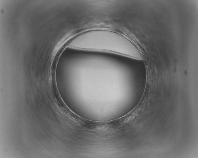 X0000074950344200609010925