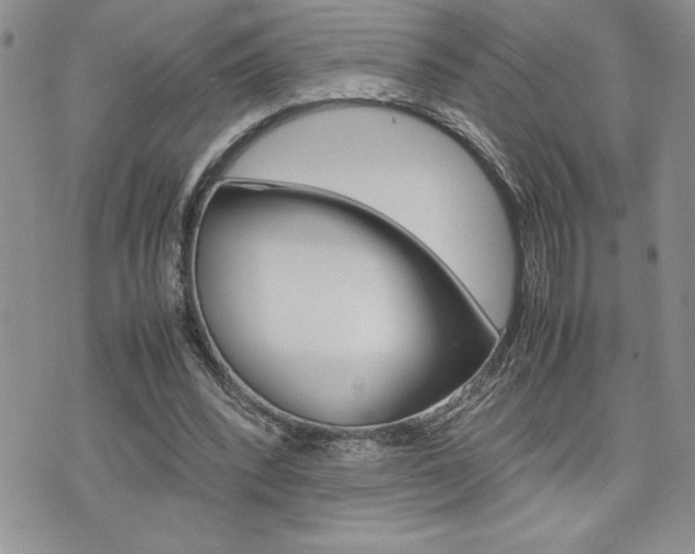 X0000074950392200609010925