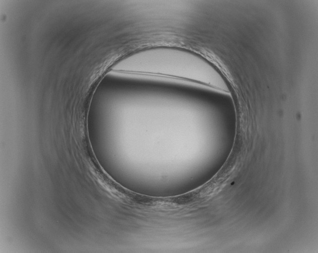 X0000074950393200609010925