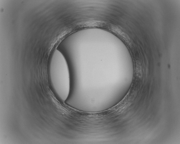 X0000074950394200609010925
