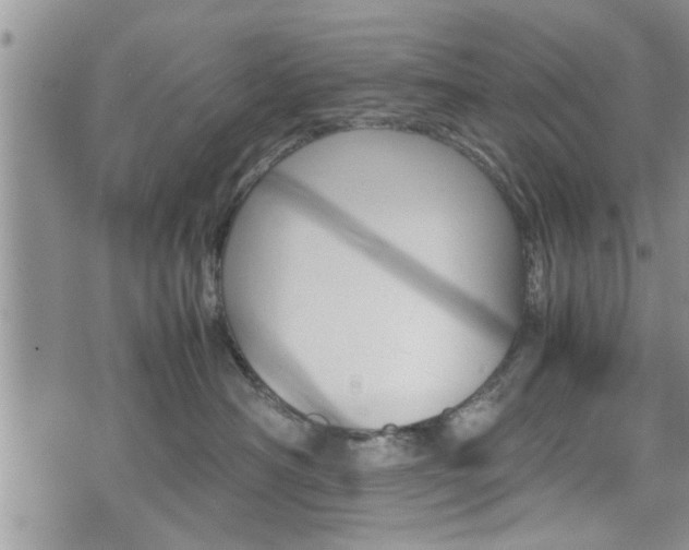 X0000074950430200609010925