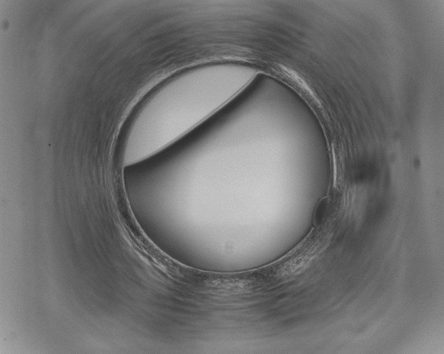 X0000074950435200609010924