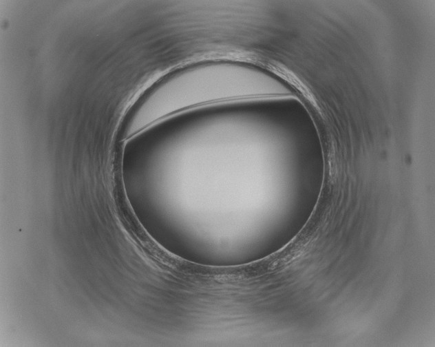 X0000074950436200609010924