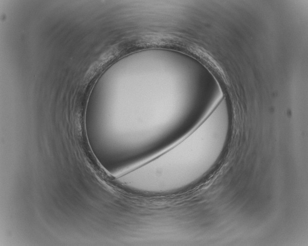 X0000074950489200609010924