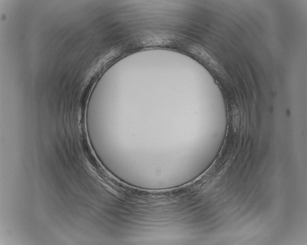 X0000074950490200609010924