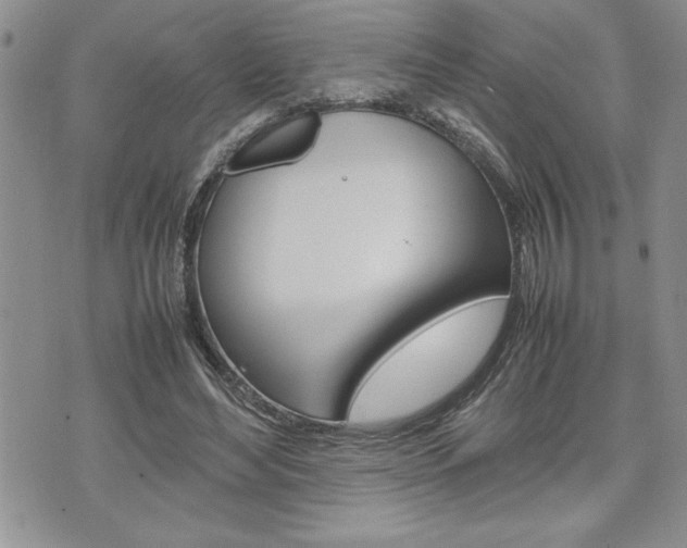 X0000074950492200609010924