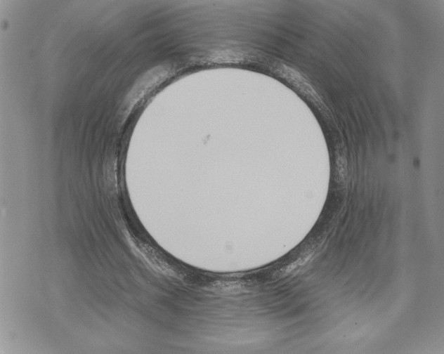 X0000074950534200609010922