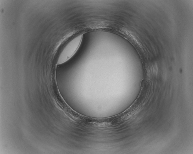 X0000074950539200609010922