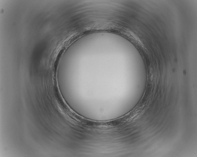 X0000074950542200609010922