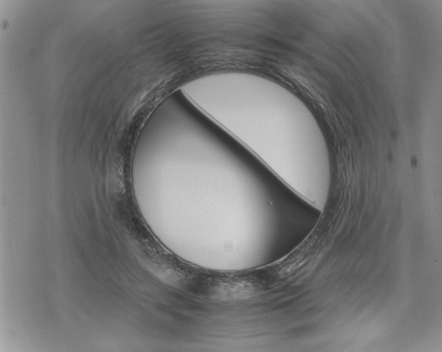 X0000074950547200609010923