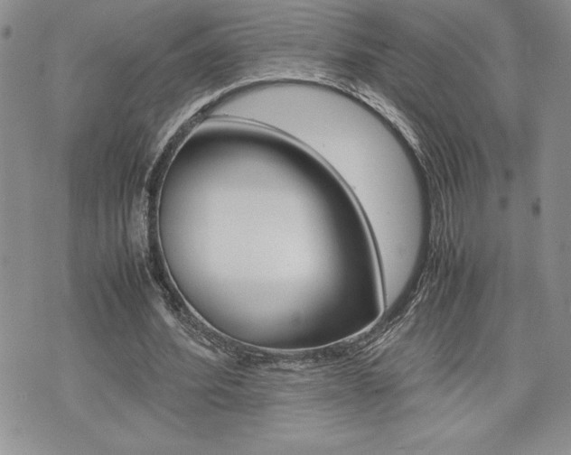 X0000074950580200609010922