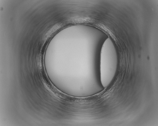 X0000074950582200609010922